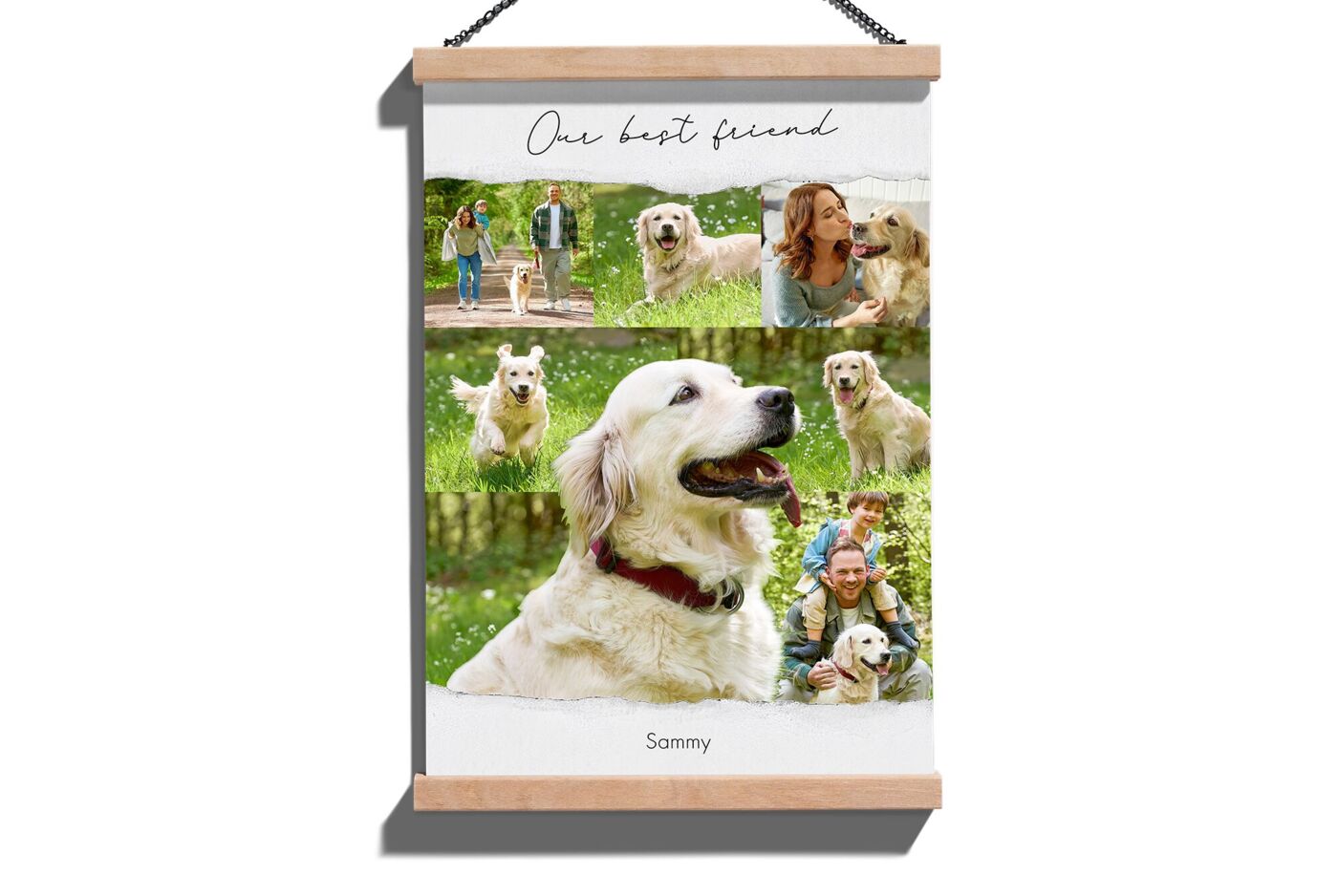 Poster-Fotocollage mit einem hellen Golden Retriever namens Sammy, der auf einer Wiese spielt und mit seiner Familie zu sehen ist.